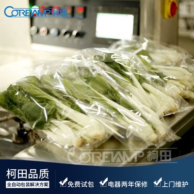 柯田厂家定制气动伺服蔬菜包装机 全自动大白菜套袋机