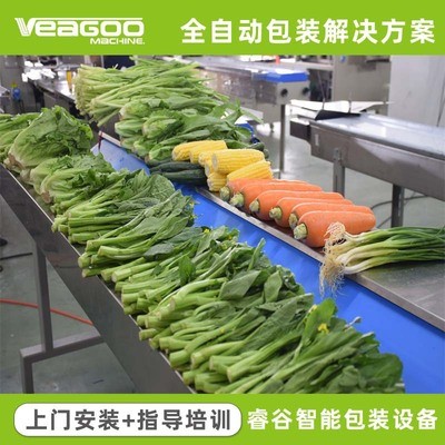 蔬菜包装机 全自动伺服蔬菜包装机械 自动识别物料长短 厂家直供图4