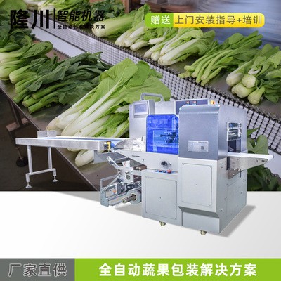 厂家量身定制设备 全伺服控制 电工用具五金牙医美甲用具包装机图3