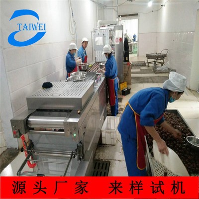 自动真空包装机 诸城全自动连续拉伸膜真空包装机生产厂家图4