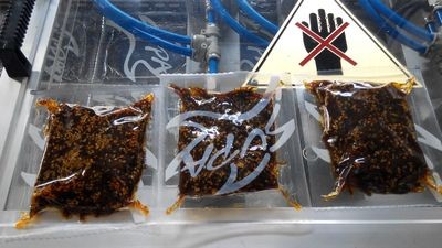 食品真空包装机 蟹排食品真空机 全自动真空包装机图2
