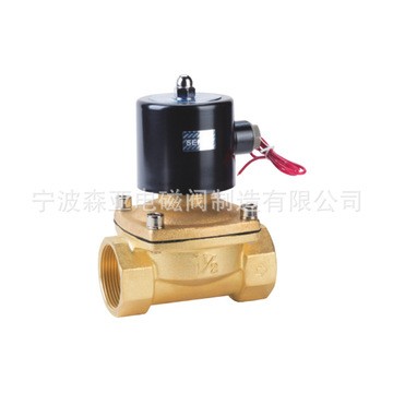 2W350-35 厂家出售蒸汽电磁阀 不锈钢常闭系列电磁阀图2