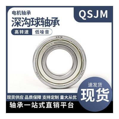 QSJM 现货销售 深沟球轴承6316高速静音滚动轴承电机用深沟球轴承