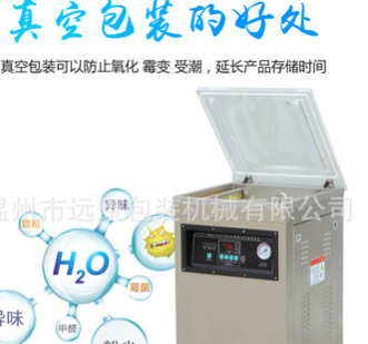 DZ-500-2D单室真空包装机 真空封口机 食品真空机图4