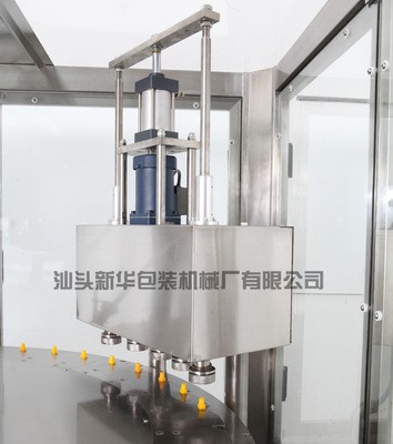 ZLA 半自动自立袋吸嘴袋灌装旋盖机用于饮料酱料等液体膏体的包装图2