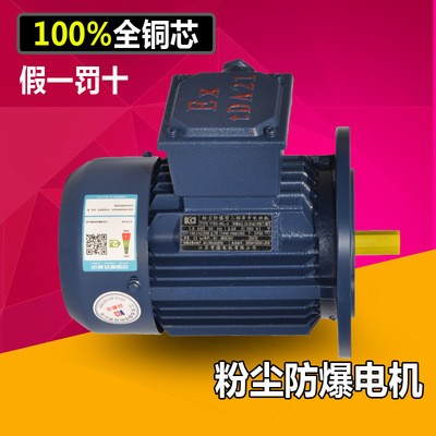 佳木斯粉尘防爆电机YFB3/YFBX4-112M-2 4KW立式A21 IP65 130度图4