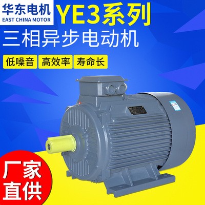 三相异步电动机YE3系列卧式立式6极低燥低压全封闭电机厂家定制