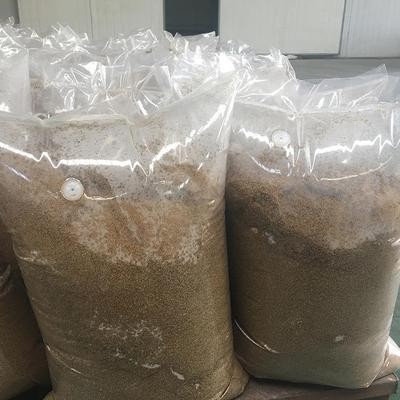 饲料厌氧发酵袋豆渣酒糟青贮饲料呼吸膜单向排气阀塑料透明包装袋图1