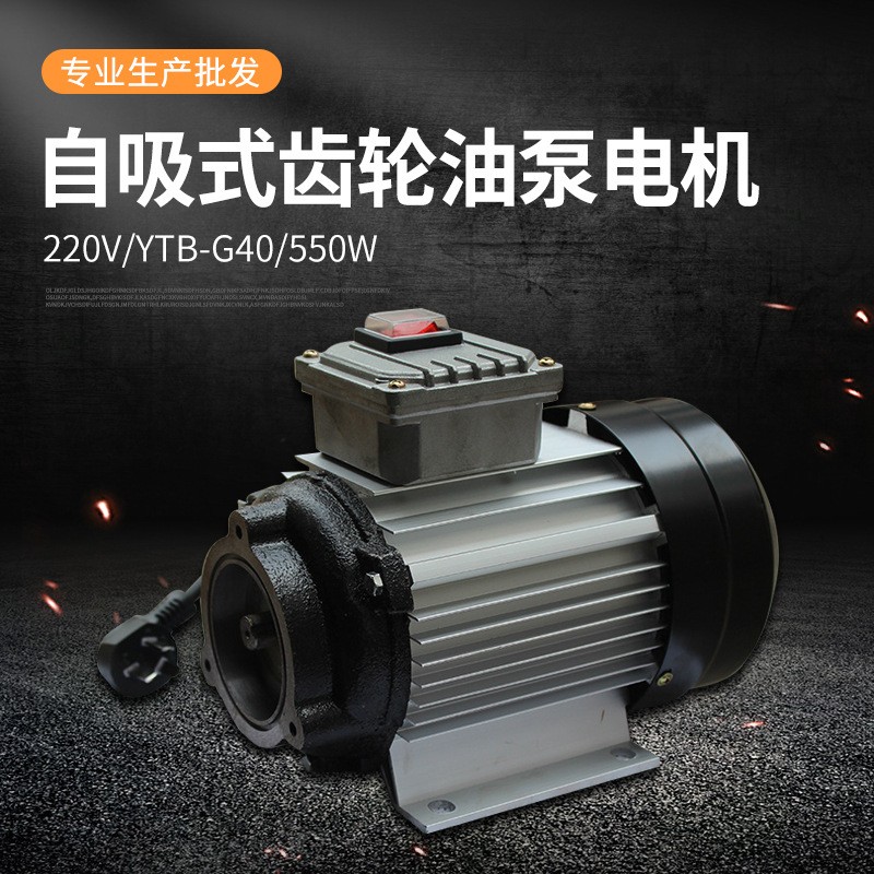 离心泵 铝合金电动齿轮交流抽油泵电机220VYTB-G40550w离心油泵图5
