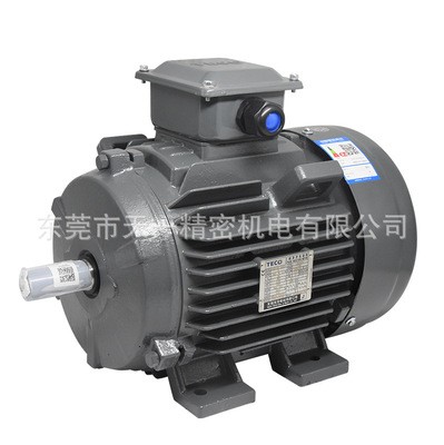 厂家现货供应 TECO 东元电机 AEEVJ3 0.75kw 1HP 立卧式刹车电机图3