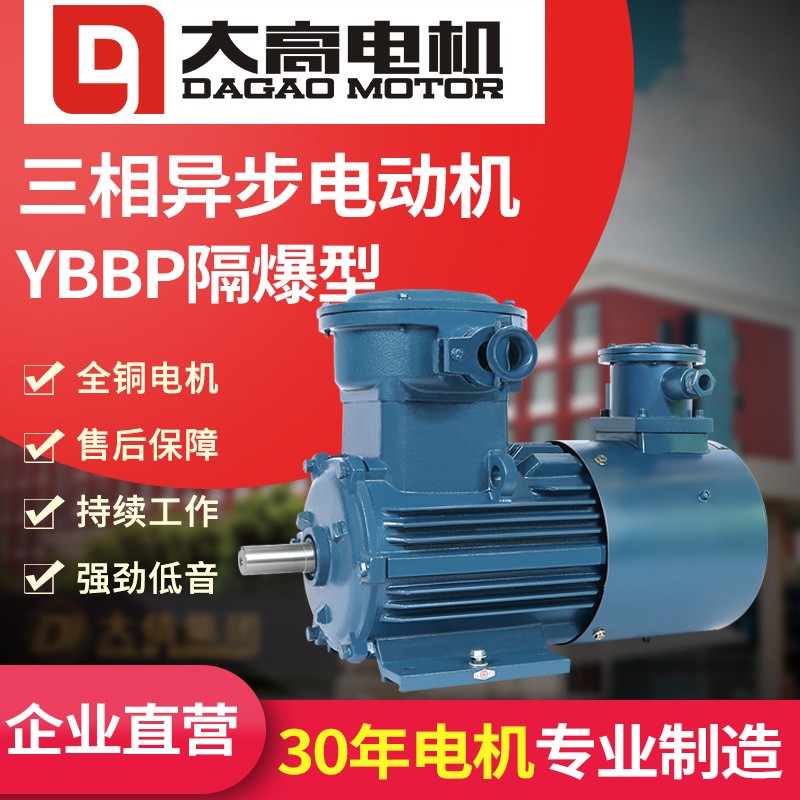 供应大速电机YBBP系列电磁调速电机防爆变频电机三相异步电动机图5
