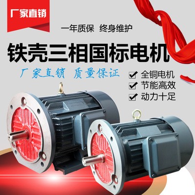 厂家直发三相异步电动机 YE2系列Y2 纯铜 11kw-4 YE2-160M-4图5
