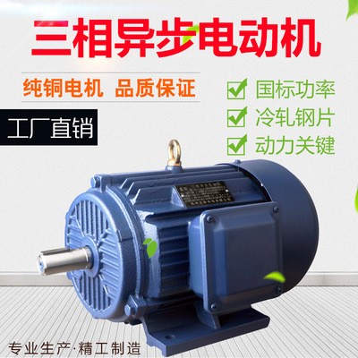 厂家直发三相异步电动机 YE2系列Y2 纯铜 11kw-4 YE2-160M-4图2