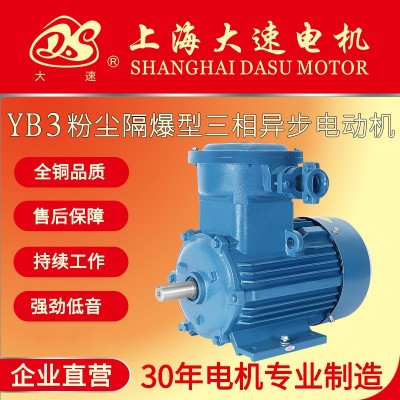 大速电机YB3粉尘隔爆三相异步电动机全铜线电机机械设备支持定制
