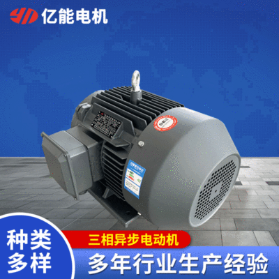 三相异步电动机 厂家供应 YE3-160M1-2 11KW电动机图4