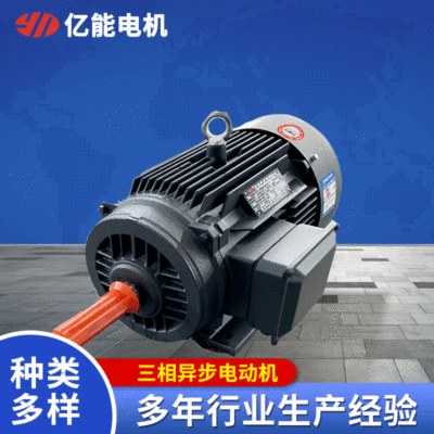 三相异步电动机 厂家供应 YE3-160M1-2 11KW电动机图3