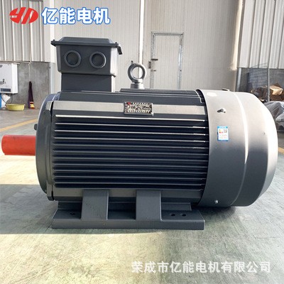 厂家供应 YX3系列80-355三相异步电动机 铜电动机图2