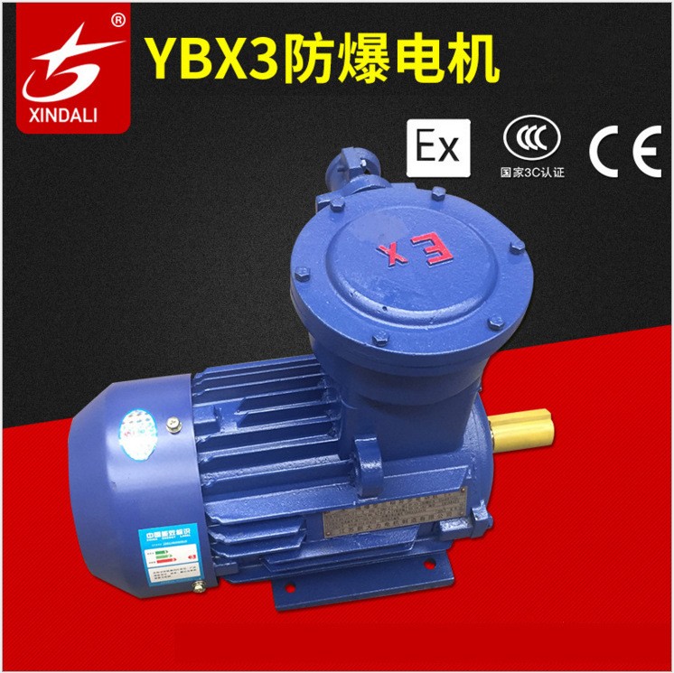 隔爆型三相异步电动机YBX3-225M-2 45KW立卧式江苏新大力防爆电机图5