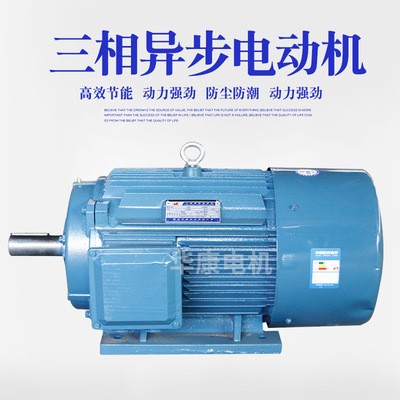 耐高温双出轴三相电机 交流电机YE2-280M-6三相异步振动电机 华康图3
