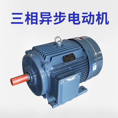 耐高温双出轴三相电机 交流电机YE2-280M-6三相异步振动电机 华康图4