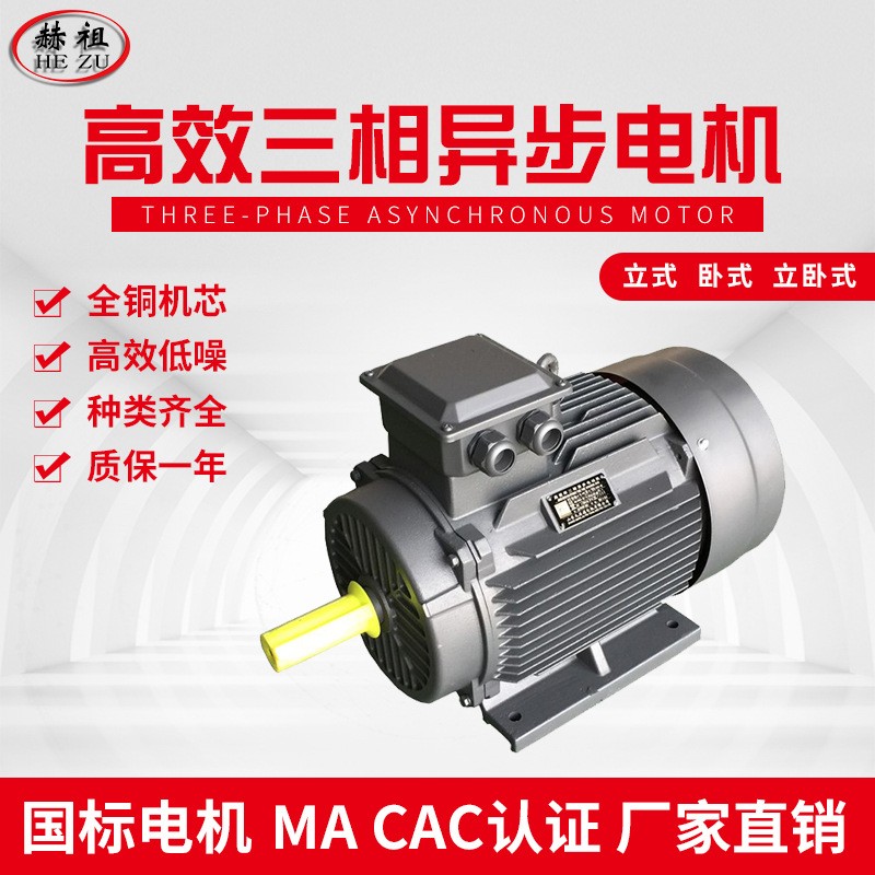 九派通【正品YX3-250M-4 55KW三相马达/异步电动机/讯力电机图5