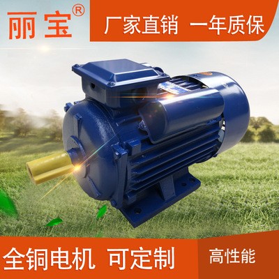厂家批发YL单相电机好用220V异步大马力马达2.2KW四级铜线图4