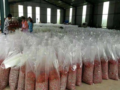 650开门式桶式饲料真空包装机 固体粉状液体类真空包装机图4