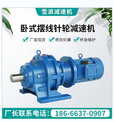 雪浪供应卧式BWD系列摆线针轮减速机 机械各种速比可定非标减速机图1