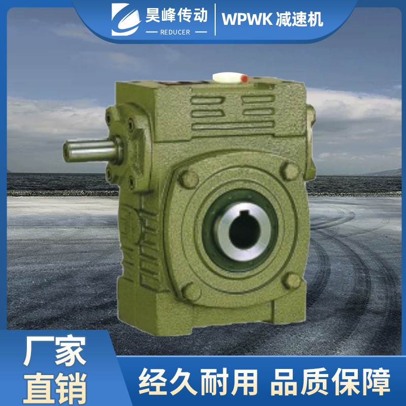 WP系列减速机 WPWK大型小型蜗轮蜗杆减速机涡轮 昊峰减速机图4