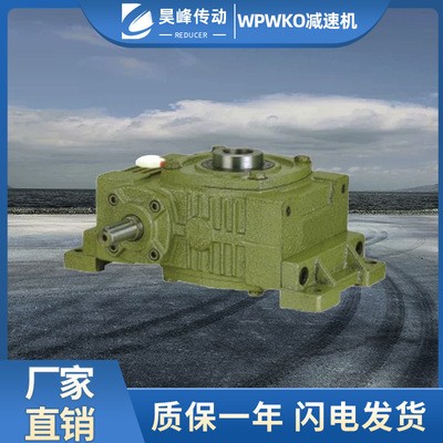WP系列减速机 WPWKO大型小型蜗轮蜗杆减速机涡轮 昊峰减速机图4