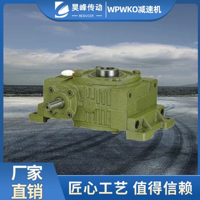 WP系列减速机 WPWKO大型小型蜗轮蜗杆减速机涡轮 昊峰减速机图3