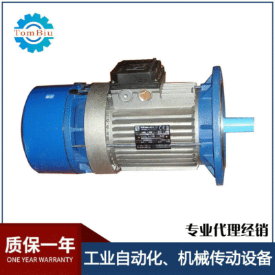 代理销售MGM电机马达BA100LB4 3KW变桨用电机图2