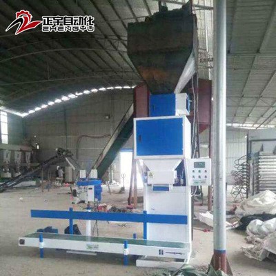 厂家定制 粮食玉米包装秤 谷物颗粒定量包装秤DCS-ZY-D50图2