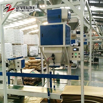 厂家定制 粮食玉米包装秤 谷物颗粒定量包装秤DCS-ZY-D50图4