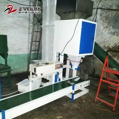 厂家定制 粮食玉米包装秤 谷物颗粒定量包装秤DCS-ZY-D50图5