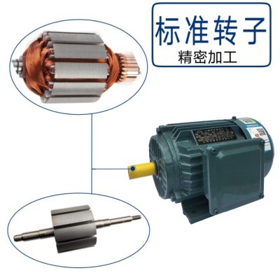 利多电机YE4系列4极三项异步电动机0.75KW-250KW图3
