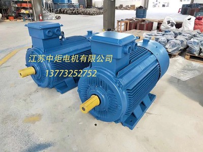 高效永磁同步电动机ZXYT-355 375KW/1500转图4