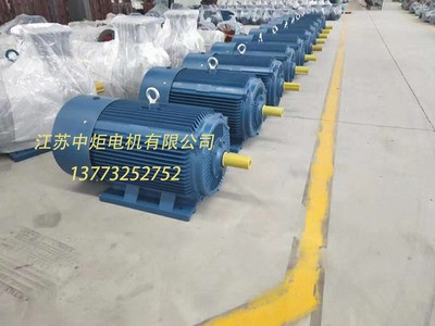 高效永磁同步电动机ZXYT-355 375KW/1500转图3