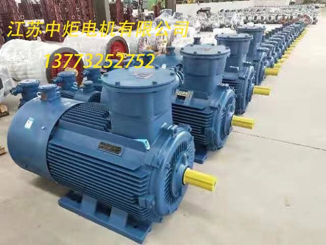 高效永磁同步电动机ZXYT-355 375KW/1500转图5