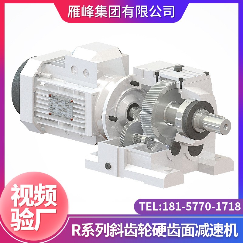 齿轮减速机厂家供应R系列R87型减速机 微型斜齿轮变速减速机图5