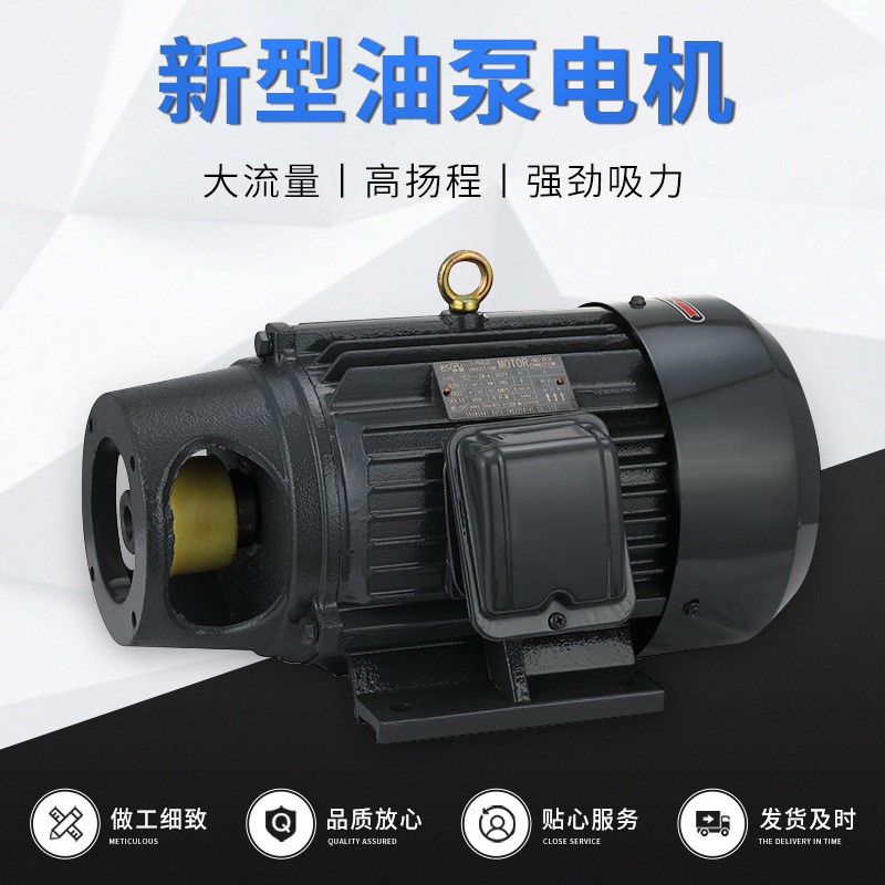 厂家加工定制新型油泵电机 电机液压泵组 液压控制系统泵组 供应图5