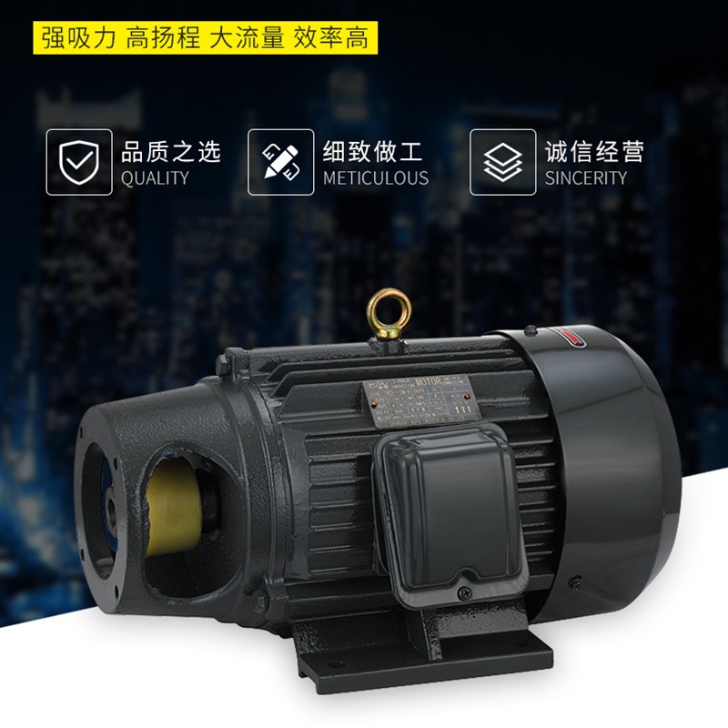 厂家加工定制新型油泵电机 电机液压泵组 液压控制系统泵组 供应图4