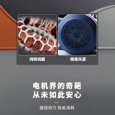 FL三相异步电动机电磁制动刹车电机卧式B3/380V/0.75/1.5/2.2/3kW图2