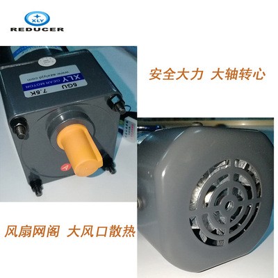 交流直轴心输出减速力矩电动机 6W 4IK-80系列(电机80)220V图3