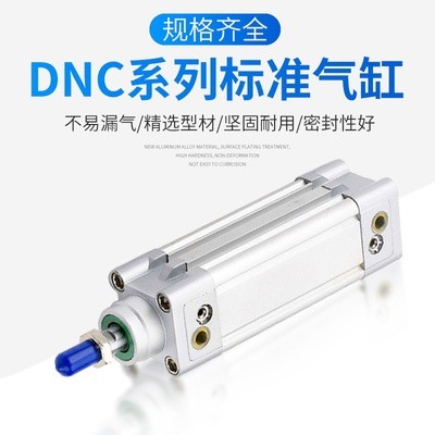 标准气缸DNC32/40/50/80/100-50-100-150-200-N-PPV-A费斯托型图4