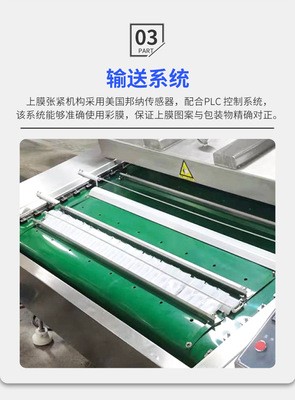 双室真空包装机 玉米真空包装机设备 火锅底料食品双室真空包装机电议图4