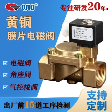 供应2252025 全佳quanjiaG1膜片式电磁阀先导式电磁阀水用电磁阀图2