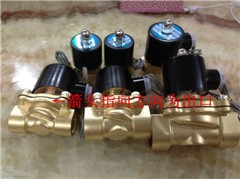 2W250-25 1寸常闭电磁阀 二通水阀 耐压：10公斤 AC220V DC24V图2