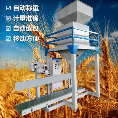 玉米定量包装机 肥料自动灌包机 粮食自动缝包定量称图2