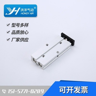 TN双轴气缸TN25*10*20*30*40*50*60*70*80*100-S图2